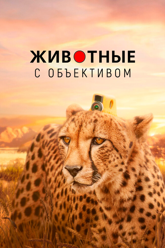 Животные с объективом (2018) постер