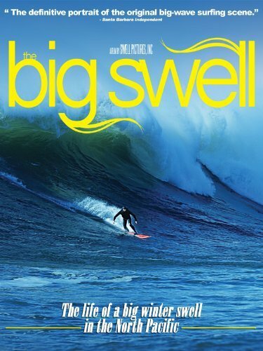 The Big Swell (2004) постер