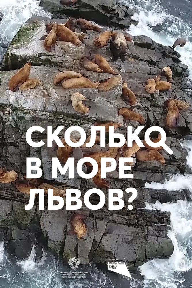 Сколько в море львов? (2018) постер